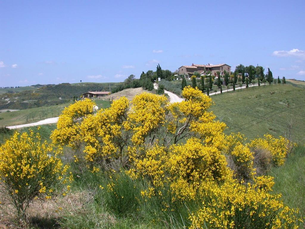 Agriturismo Palazzo Conti A Pienza Exterior photo